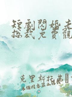 短剧闪婚老公是总裁免费观看