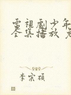 电视剧少年派2全集播放 免费