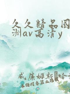 久久精品国产亚洲av高清y