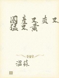 国产又爽又粗又猛又黄