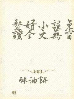 赘婿小说免费阅读全文无窗口