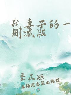 我妻子的一切未删减版
