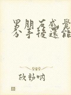 男朋友感觉很累分手后还能挽回吗