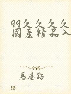 99久久久久久国产精品入口