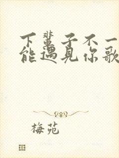 下辈子不一定还能遇见你歌词完整版