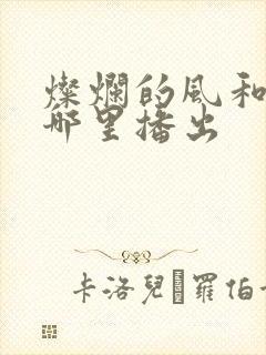 灿烂的风和海在哪里播出