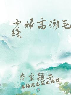 少妇高潮毛片在线