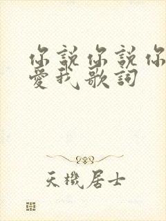 你说你说你一直爱我歌词