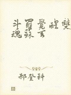 斗罗觉醒双生武魂苏玄