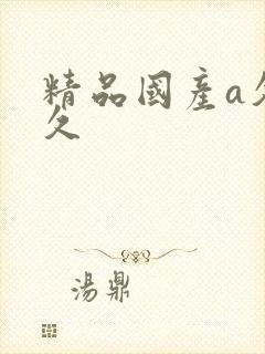 精品国产a久久久