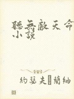 听无敌天命有声小说