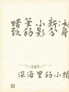 蜡笔小新:好别致的影分身 国语