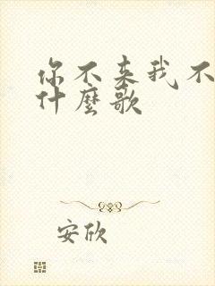 你不来我不老是什么歌