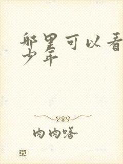 哪里可以看鸣龙少年