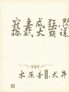 宠妻成狂,闪婚总裁太霸道