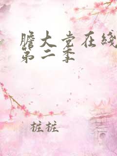 胆大党在线观看第二季