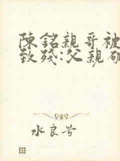 陈铭亲哥被绑架致残:父亲破案遭报复了吗