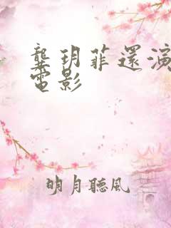 龚玥菲还演过啥电影