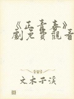 《正青春》电视剧免费观看