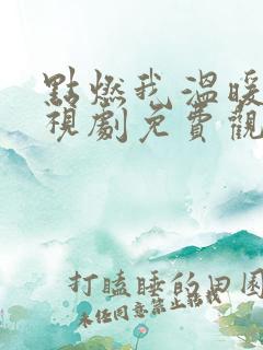 点燃我温暖你电视剧免费观看软件