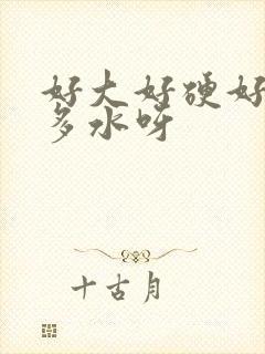 好大好硬好爽好多水呀