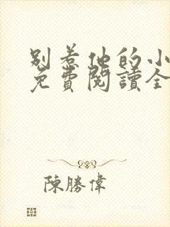 别惹他的小可怜免费阅读全文