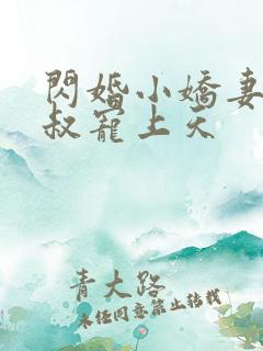 闪婚小娇妻:大叔宠上天
