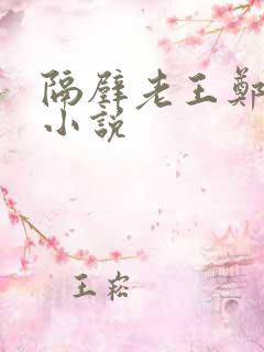 隔壁老王郑小爽小说
