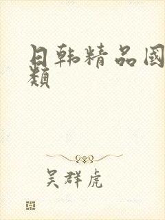 日韩精品国产另类