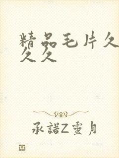 精品毛片久久久久久