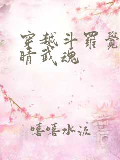 穿越斗罗觉醒眼睛武魂