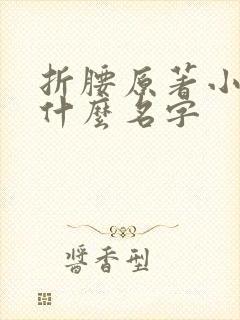 折腰原著小说叫什么名字