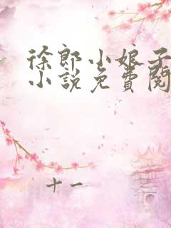 徐郎小娘子穿越小说免费阅读