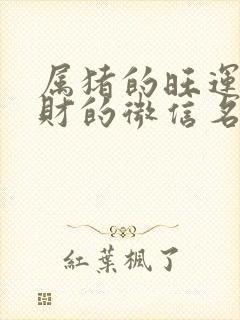 属猪的旺运又旺财的微信名