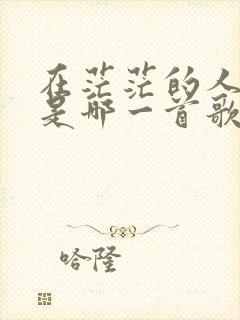 在茫茫的人海里是哪一首歌的歌词