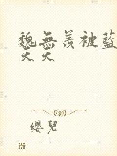 魏无羡被蓝忘机天天