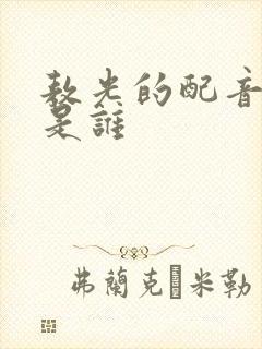 敖光的配音演员是谁