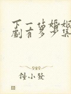 下一站婚姻电视剧有多少集