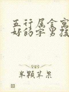 五行属金寓意最好的字男孩