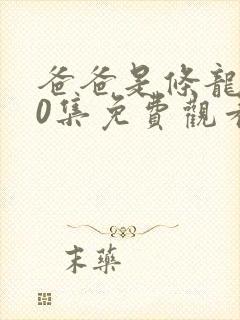 爸爸是条龙第40集免费观看