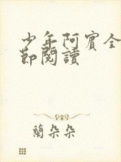 少年阿宾全文章节阅读