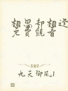 相思却相逢短剧免费观看