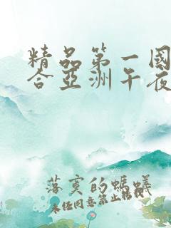 精品第一国产综合亚洲午夜