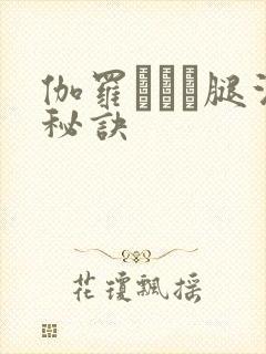 伽罗ちゃん腿法秘诀