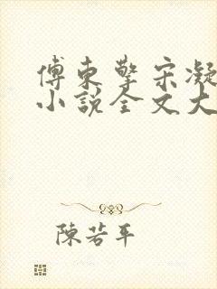 傅东擎宋凝林阑小说全文大结局