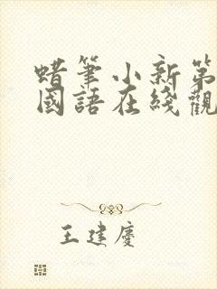 蜡笔小新第8季国语在线观看