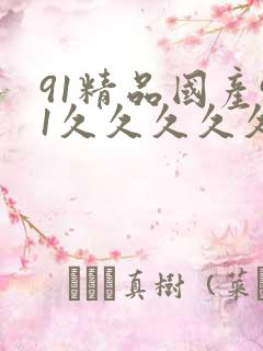 91精品国产91久久久久久