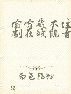 偷偷藏不住电视剧在线观看免费15集