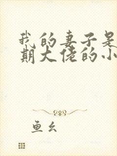 我的妻子是大乘期大佬的小说