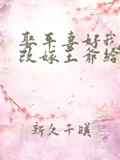 娶平妻好我休夫改嫁王爷给你看